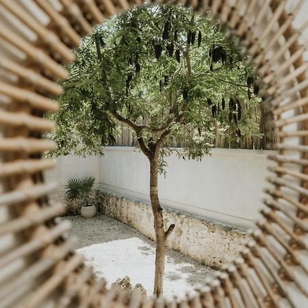 Casa Chimi Tulum B&B 외부 사진
