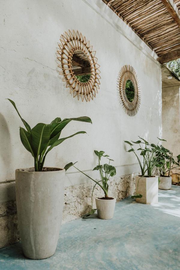 Casa Chimi Tulum B&B 외부 사진