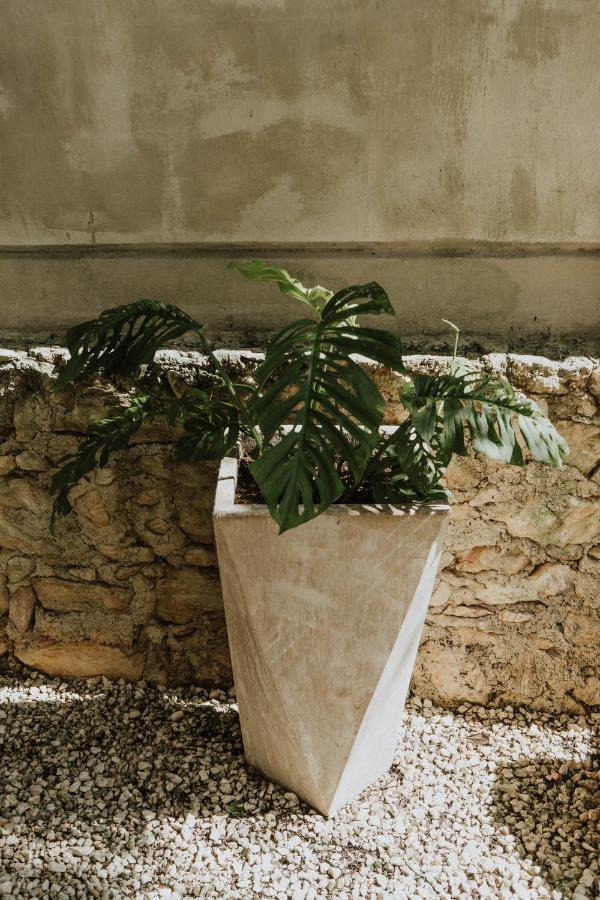 Casa Chimi Tulum B&B 외부 사진